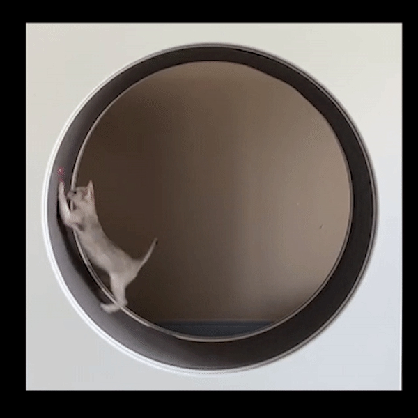 Cat Treadmill Silent And Noiseless Cat Toy Simple And Durable Cat Furniture Fitness And Entertainment Integrated Treadmill · v3